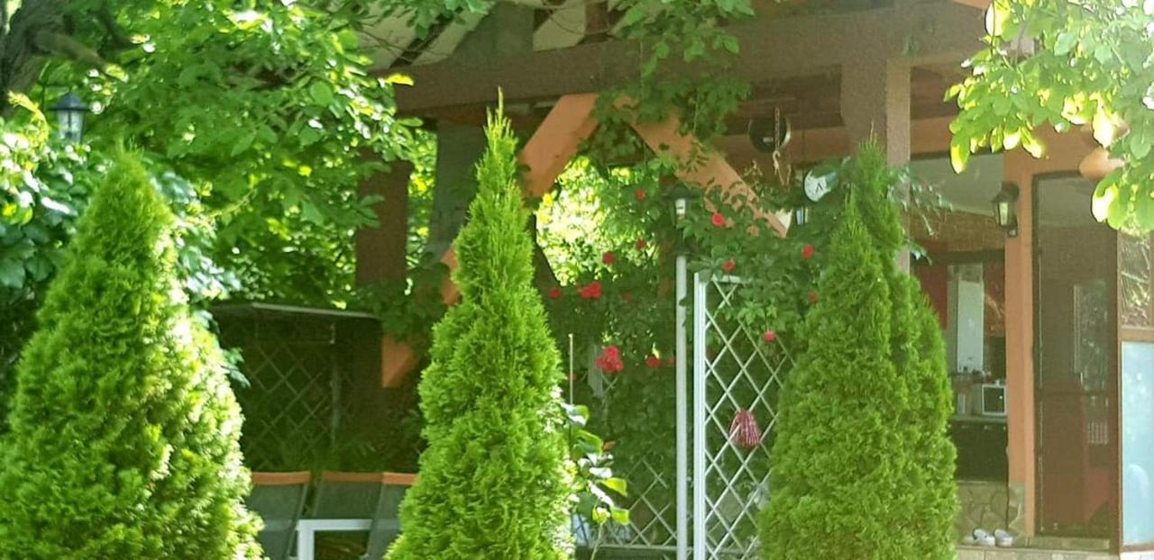 Casa Alex Hotel Sarata-Monteoru Exterior photo