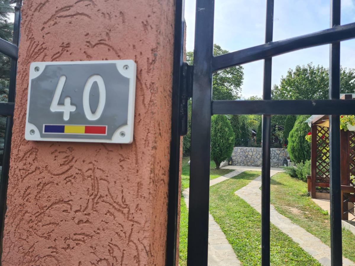 Casa Alex Hotel Sarata-Monteoru Exterior photo